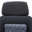 Recaro LX Seat Pair